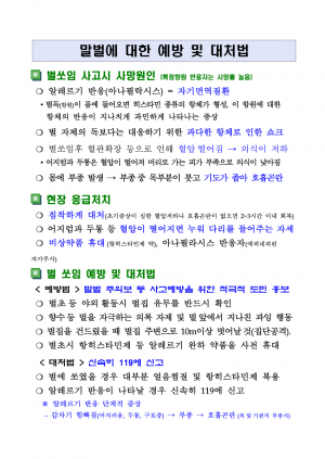 추석 벌초시 벌쏘임 환자 증가, 말벌 주의